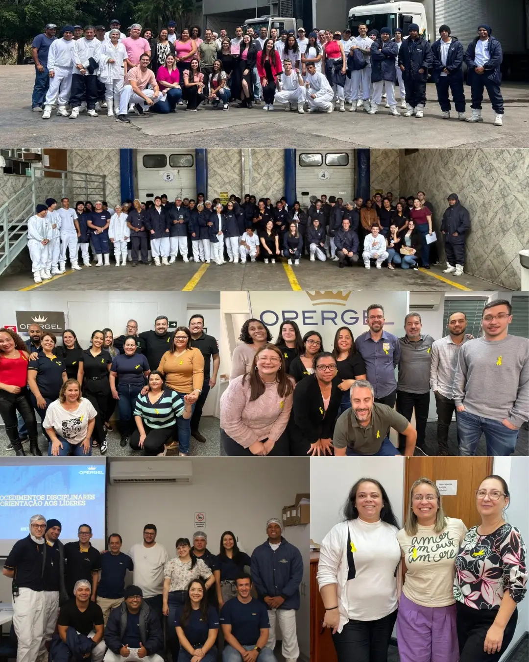 Our team of employees